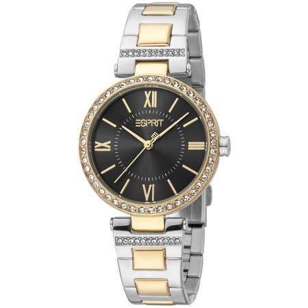 Montre Femme Esprit ES1L332M0095