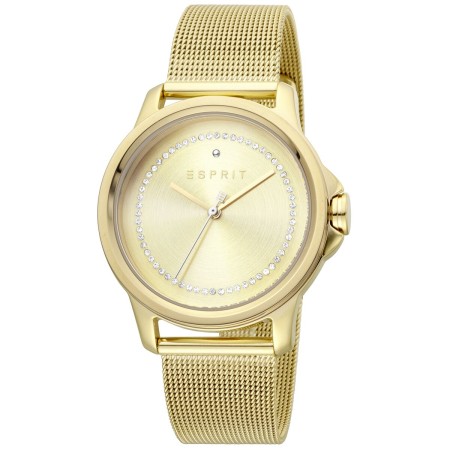 Montre Femme Esprit ES1L147M0085