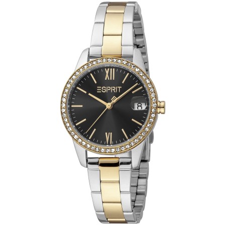 Montre Femme Esprit ES1L315M0115