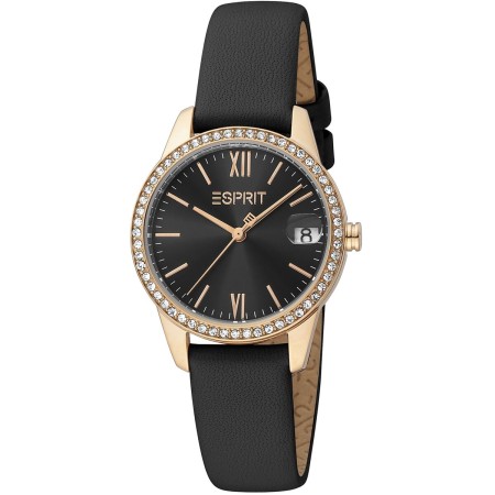 Montre Femme Esprit ES1L315L0045