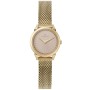 Montre Femme Pierre Cardin CPI-2522