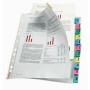 Fundas Esselte Index Pockets 12 Hojas Transparente A4 Polipropileno (10 Unidades)