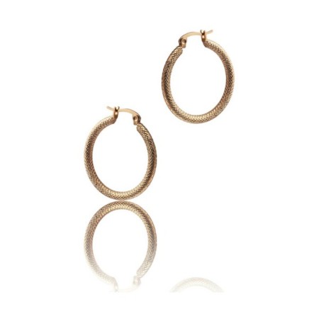 Boucles d´oreilles Femme Time Force TS5147PR (3 cm)