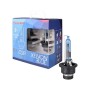 Bombilla M-Tech MTECPTZXBD2S-DUO P32D-2 35 W 85 V D2S 6500 K