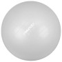 Bola de ejercicio Avento 531SC42OC03 75 cm Gris