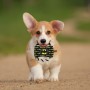 Jouet pour chien Batman Corde avec son Noir