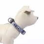 Collier pour Chien Disney Villains Gris M/L