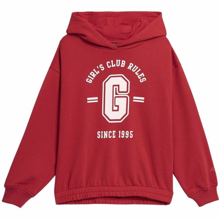 Sudadera con Capucha Unisex 4F JBLD004