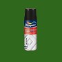 Émail synthétique Bruguer 5197991 Spray Polyvalents Grass Green 400 ml Brillant