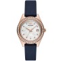 Montre Femme Emporio Armani AR11448