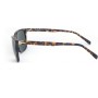 Gafas de Sol Hombre Rodenstock R3282 DARK HAVANA