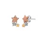 Boucles d´oreilles Femme O3143