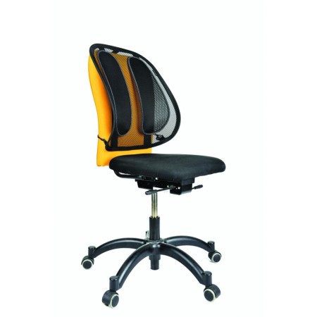 Respaldo para Asiento Fellowes 9191301 Negro Ajustable Ergonómico