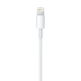 Cable Lightning Apple ME291ZM/A Blanco (50 cm)