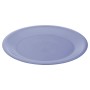 Plato Llano (Reacondicionado B)