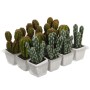Planta Decorativa Mica Decorations Artificial Cactus Verde PVC 14 cm