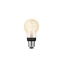 Ampoule à Puce Philips Blanc 60 W (Reconditionné A+)
