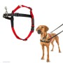 Harnais pour Chien Company of Animals LH03 Rouge/Noir (Reconditionné B)