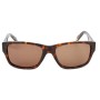 Gafas de Sol Hombre MC 243_S BROWN TORTOISE