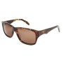 Gafas de Sol Hombre MC 243_S BROWN TORTOISE