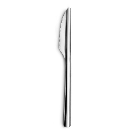 Set de Cuchillos Amefa Ecologic Slim Metal Acero (12 Unidades)