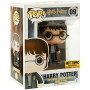 Figura Coleccionable Funko POP Harry Potter 01 Harry Potter