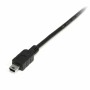 Câble Micro USB Startech USB2HABM2M      USB A Mini USB B Noir