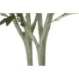 Árbol DKD Home Decor 80 x 80 x 180 cm Polipropileno Olivo (80 x 80 x 180 cm)