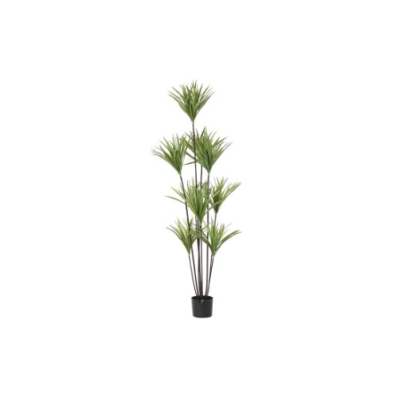 Planta Decorativa DKD Home Decor 75 x 75 x 180 cm Dracaena Marrón Verde Polipropileno