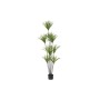 Plante décorative DKD Home Decor 75 x 75 x 180 cm Dracaena Marron Vert polypropylène