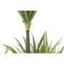 Planta Decorativa DKD Home Decor 75 x 75 x 180 cm Dracaena Marrón Verde Polipropileno