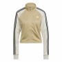 Chándal Mujer Adidas Teamsport Dorado