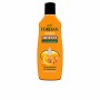 Désodorisant Foresan Amber Concentré 125 ml