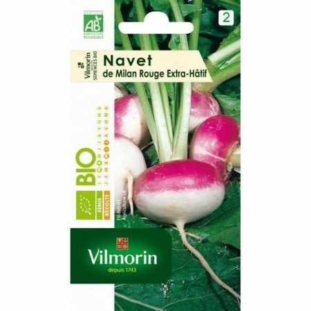 Graines Vilmorin 3700942 Navets