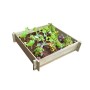 Caja Ekju Set de Cultivo