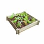 Caja Ekju Set de Cultivo