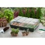 Set de Cultivo Nature 13 x 43 x 32,5 cm