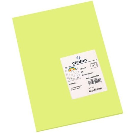 Papiers carton Iris Apple 29,7 x 42 cm Vert (50 Unités)