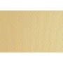 Cartulinas Sadipal LR Beige 50 x 70 cm (20 Unidades)