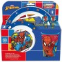 Set de pícnic Spiderman Arachnid Grid Infantil