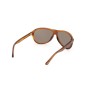 Gafas de Sol Hombre Web Eyewear WE0291 DARK HAVANA