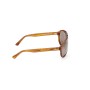 Gafas de Sol Hombre Web Eyewear WE0291 DARK HAVANA