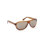 Gafas de Sol Hombre Web Eyewear WE0291 DARK HAVANA