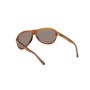 Gafas de Sol Hombre Web Eyewear WE0291 DARK HAVANA