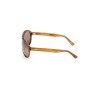 Gafas de Sol Hombre Web Eyewear WE0291 DARK HAVANA