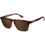 Gafas de Sol Hombre Pierre Cardin P-C- 6190_S HAVANA