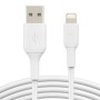 Cable USB a Lightning Belkin CAA001BT0MWH Blanco 15 cm