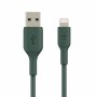 Cable USB a Lightning Belkin CAA001BT1MMG Negro 1 m