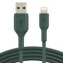 Cable USB a Lightning Belkin CAA003BT1MMG Negro 1 m