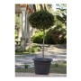 Pot Plastiken 7352 Ø 52 x 38 cm Rond Gris Anthracite Plastique